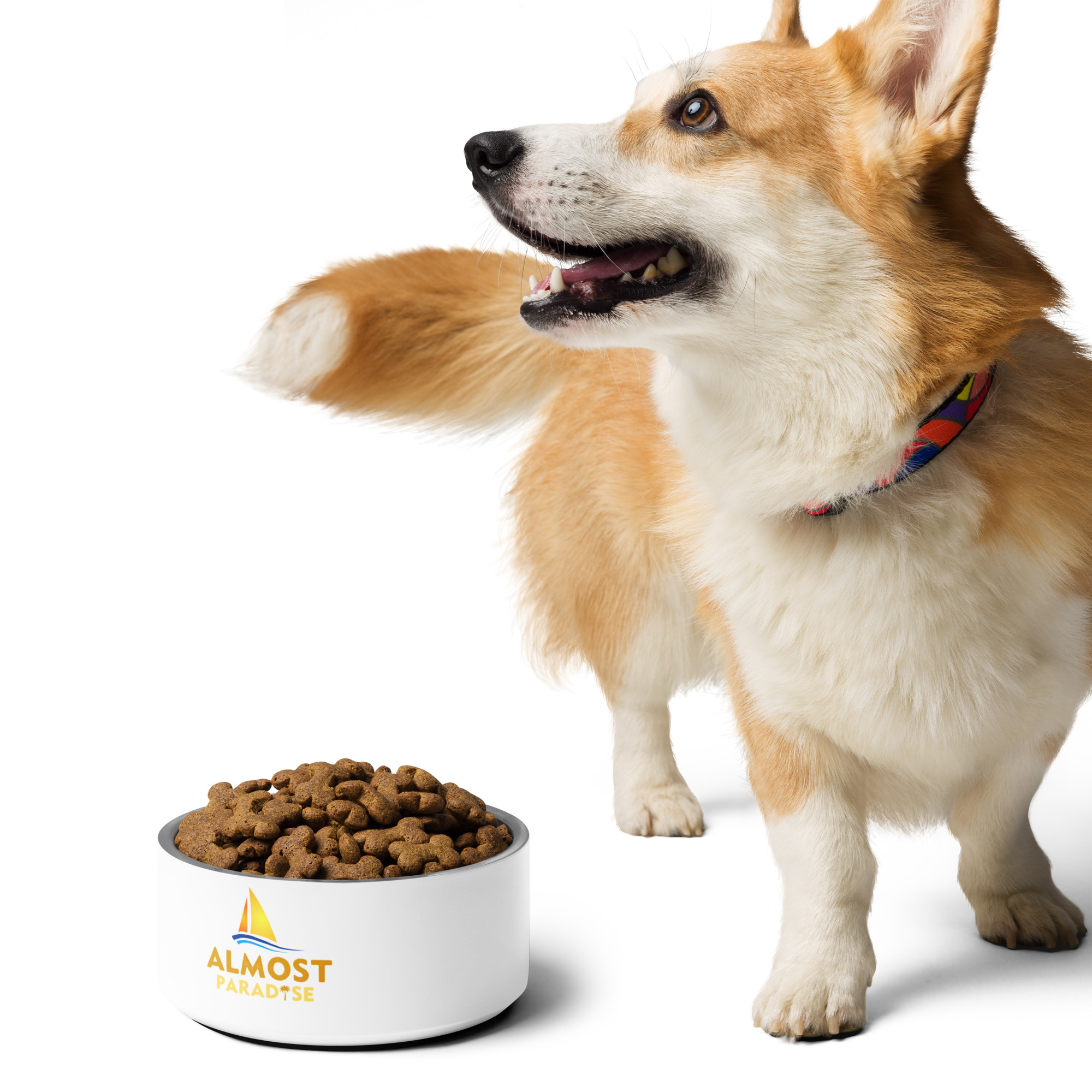 pet-bowl-white-32-oz-front-65d3c70f94b55.jpg