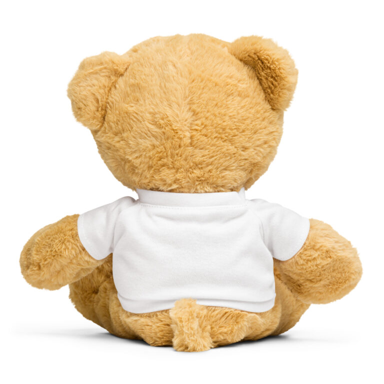 teddy-bear-with-a-t-shirt-white-back-68ef0fb953f63.jpg